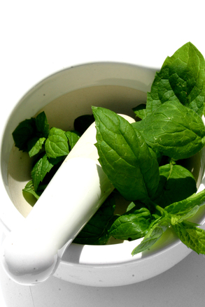 R naturally Herb